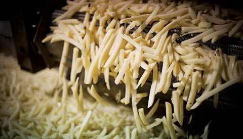 FrenchFries_Lead FrenchFries_Lead